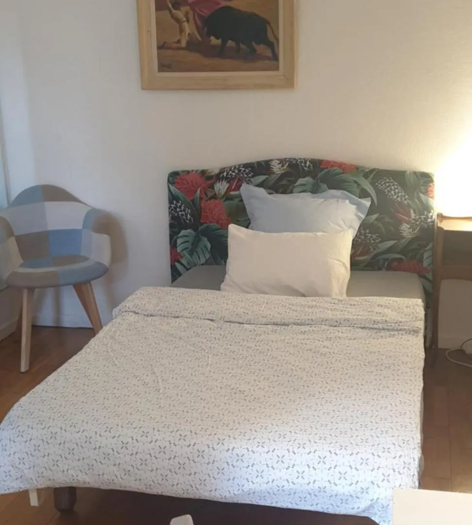 Chambre Privee Dans Une Maison Avec Piscine Tournefeuille 0*,  France